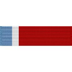 Tennessee National Guard Service Ribbon